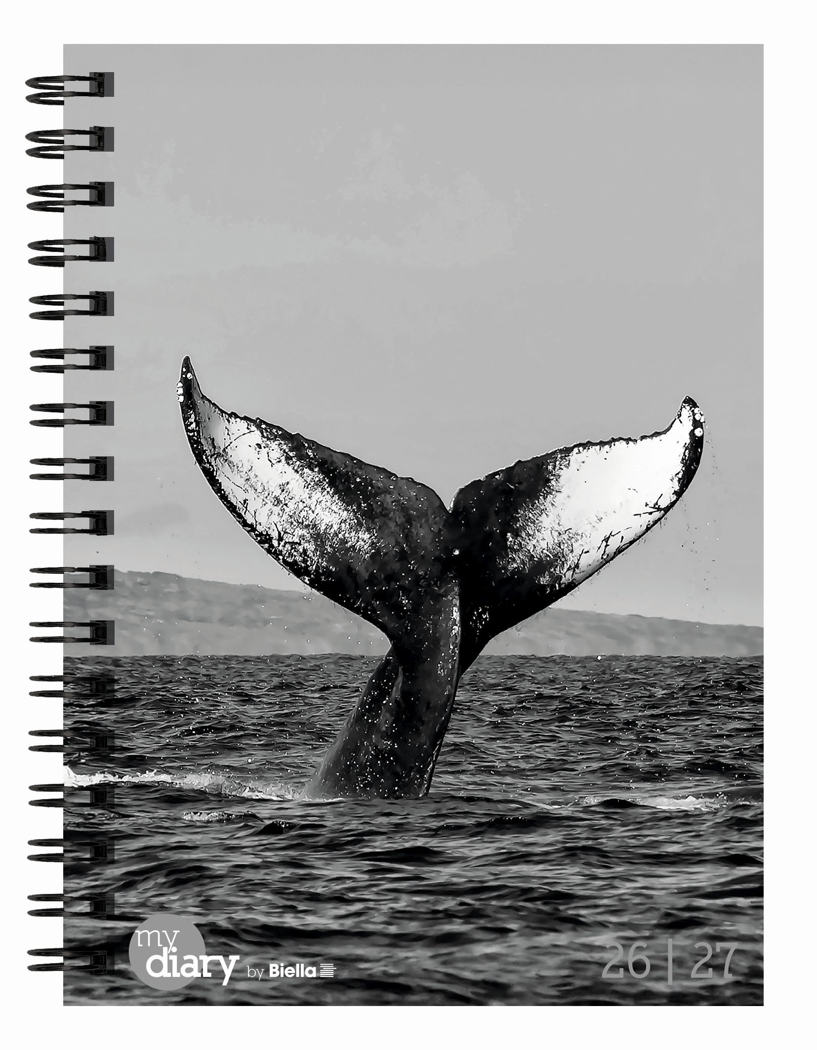 Schüleragenda mydiary 12 x 16,5 cm 3 1/2 Tage pro Seite, Wire-O Whale