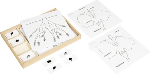 Activity Set zu den botanischen Puzzles Holzkiste SPEZIALBESTELLUNG!!!