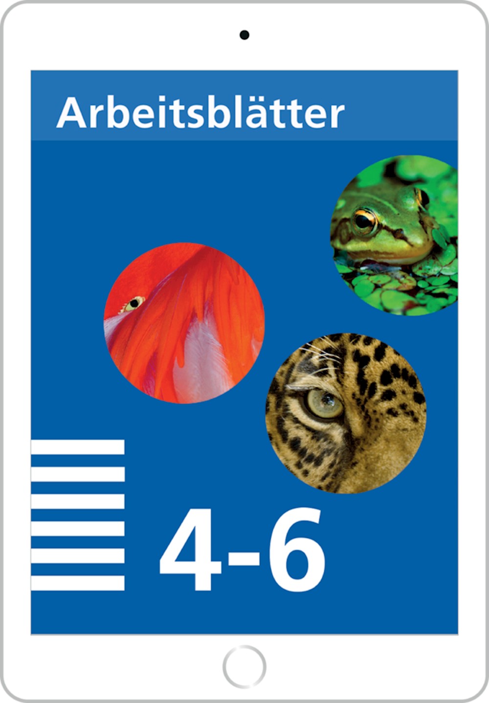 Mathematik 4-6 PS, digitale Arbeits- blätter für LP, SPEZIALBESTELLUNG