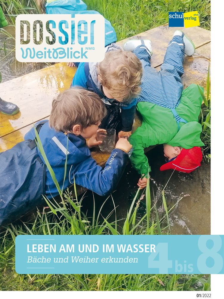 Dossier WeitBlick, Leben am und im Wasser