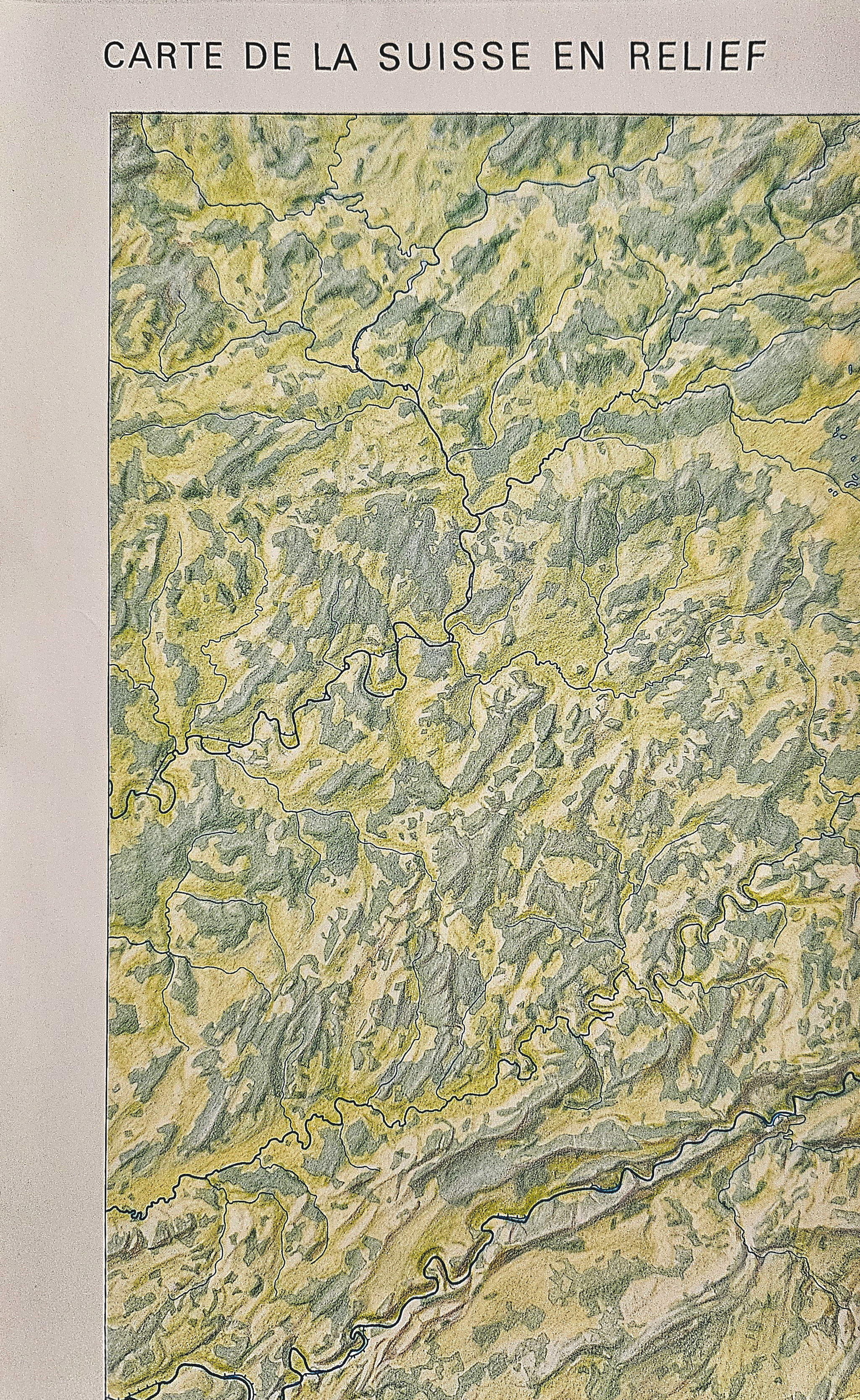 Schülerkarte Schweiz, 1:500'000, stumm Schweiz Relief-Vegetation (Topographie)